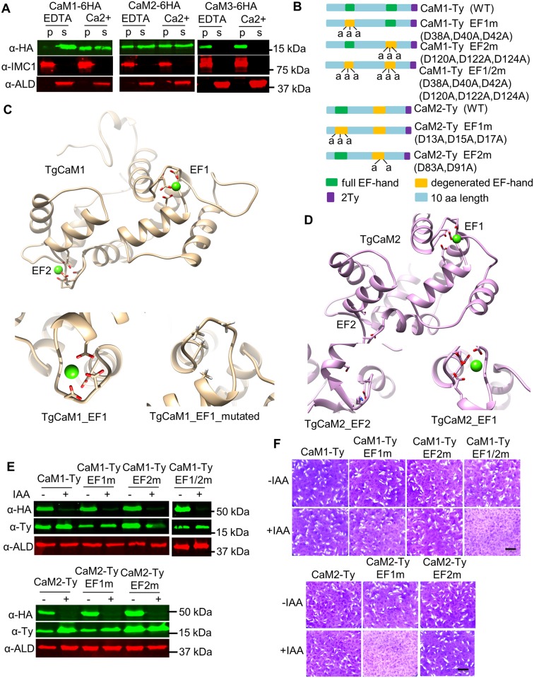 Fig 6