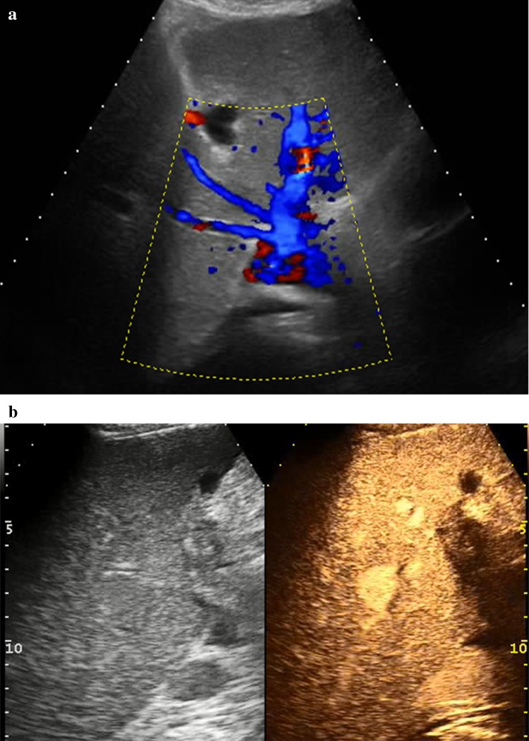 Fig. 6