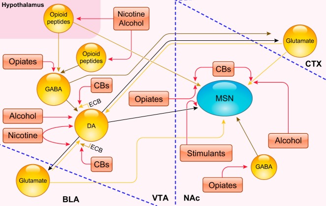 FIGURE 1.