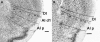 Fig. 9