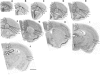 Fig. 2
