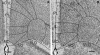 Fig. 6