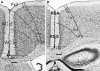 Fig. 5