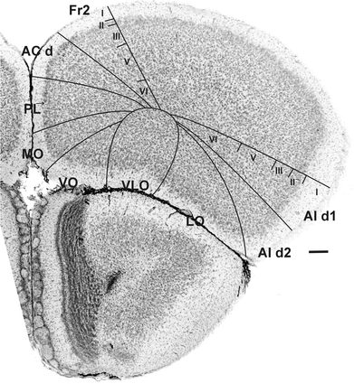 Fig. 3