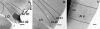 Fig. 15