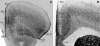 Fig. 7