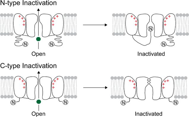 Figure 1)