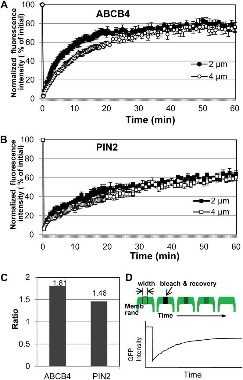 Figure 4.