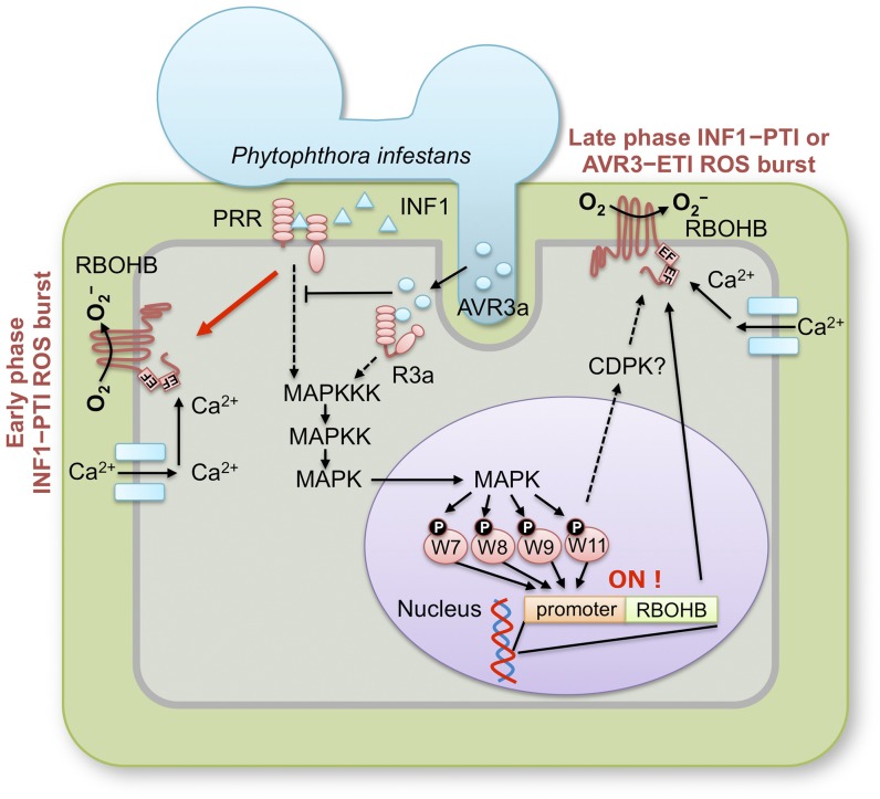 Figure 10.