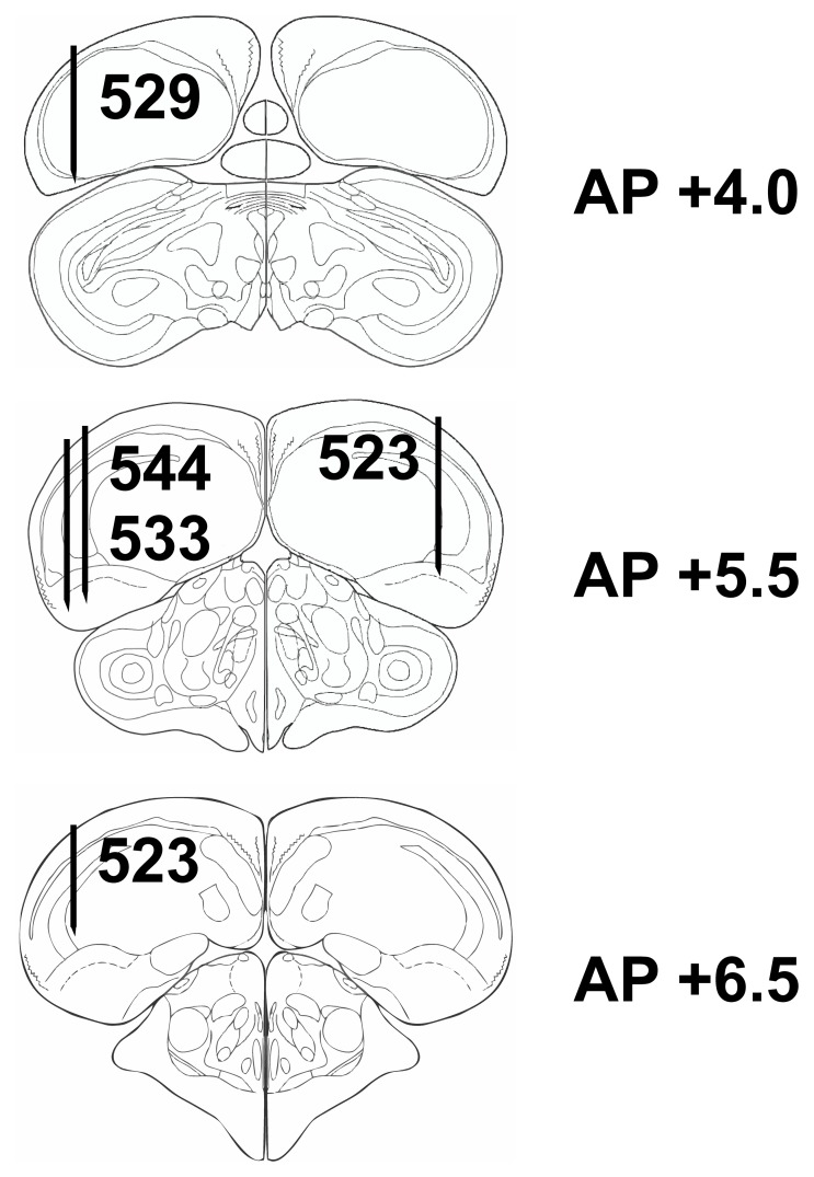 Figure 9