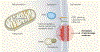 Figure 1 |