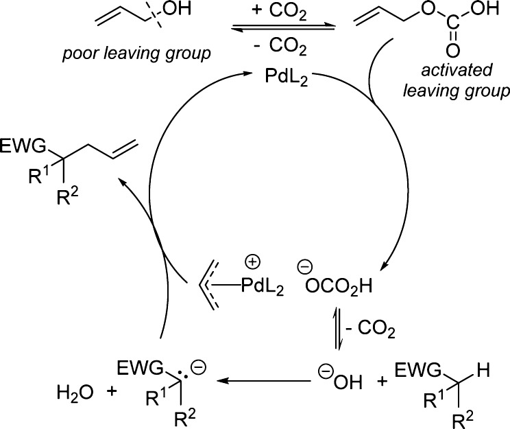 Scheme 2