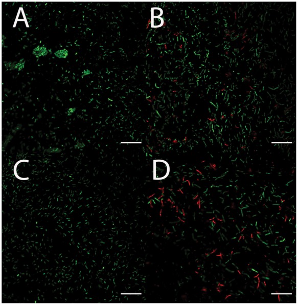 Figure 5.