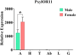 FIGURE 3