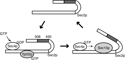 Figure 9.