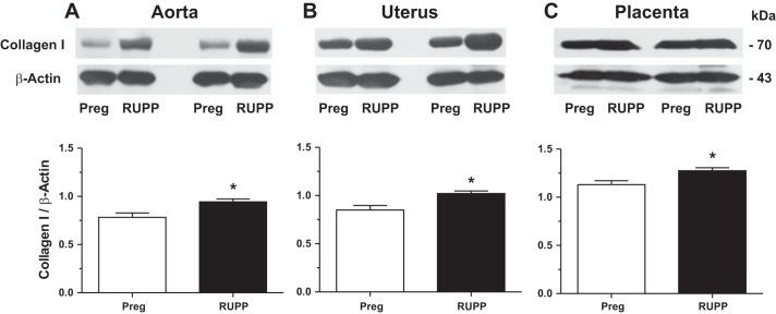 Fig. 9.