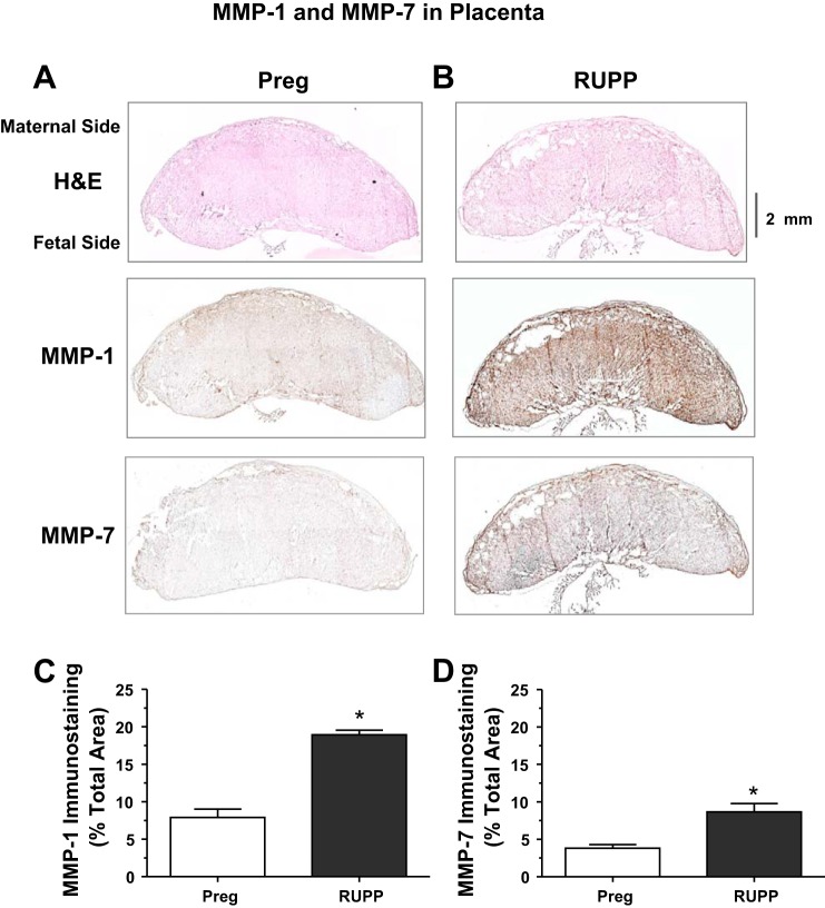 Fig. 8.