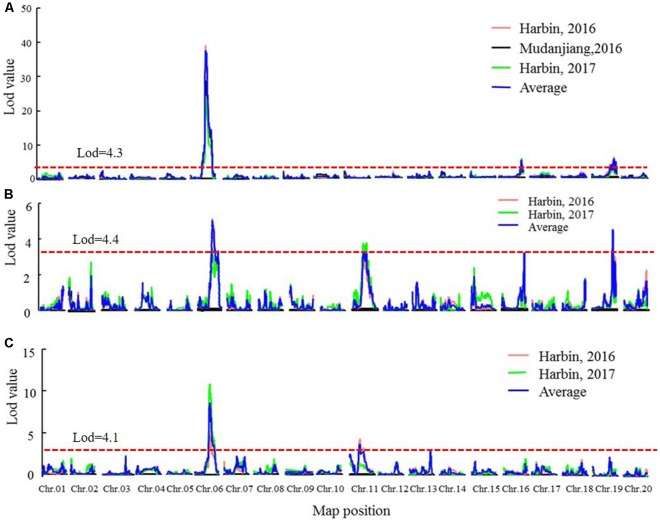 FIGURE 4