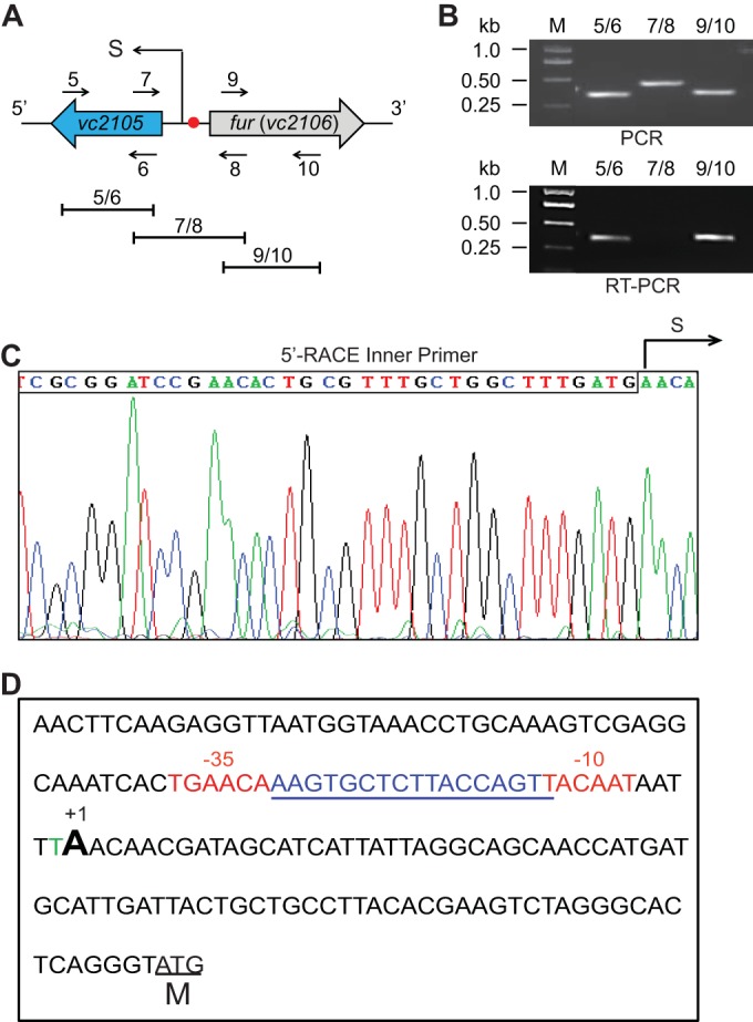 FIG 3