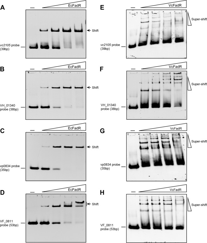 FIG 6