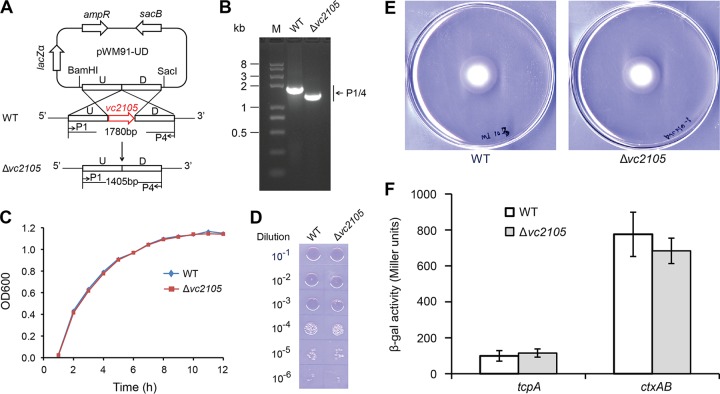 FIG 10