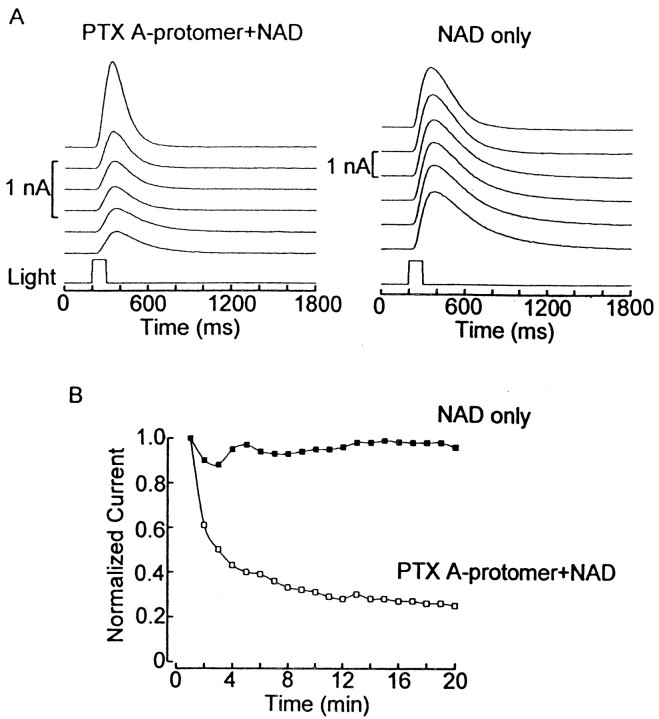 Fig. 6.