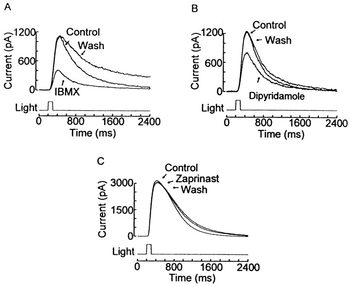 Fig. 8.