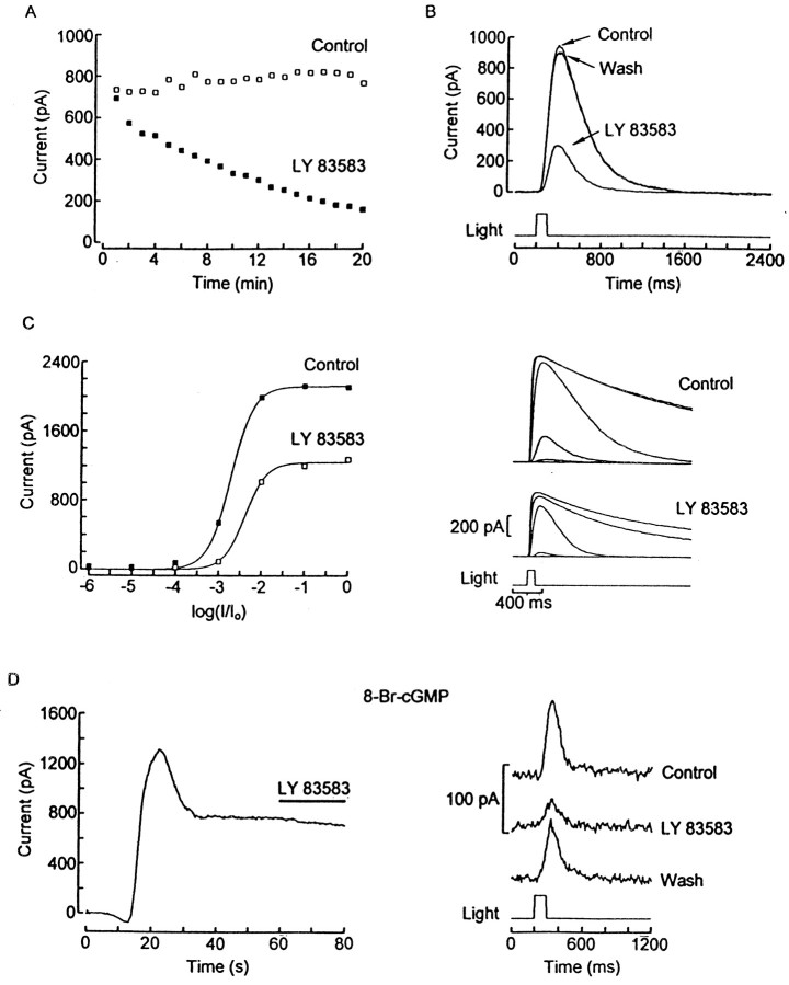 Fig. 10.