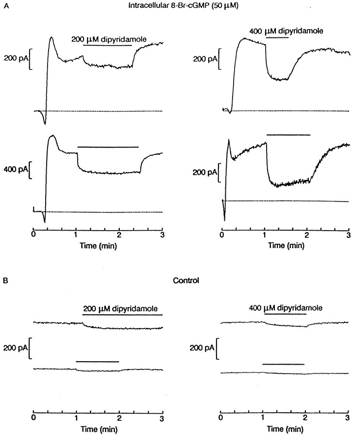 Fig. 9.