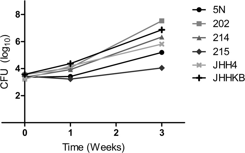 Figure 5