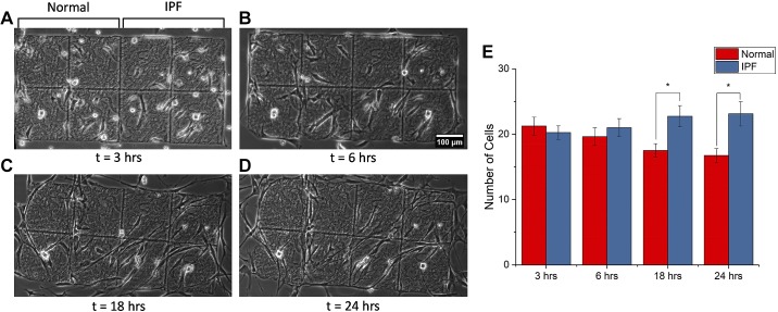 Fig. 4.