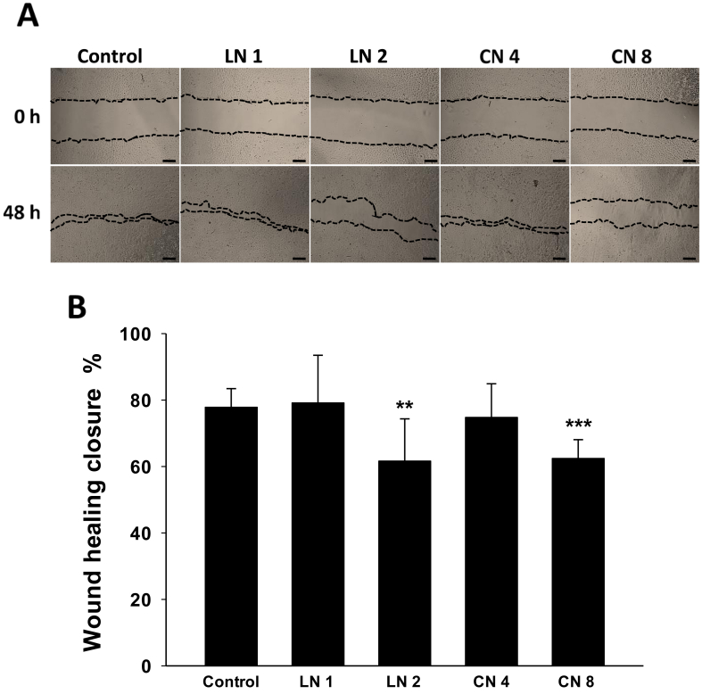 Figure 6