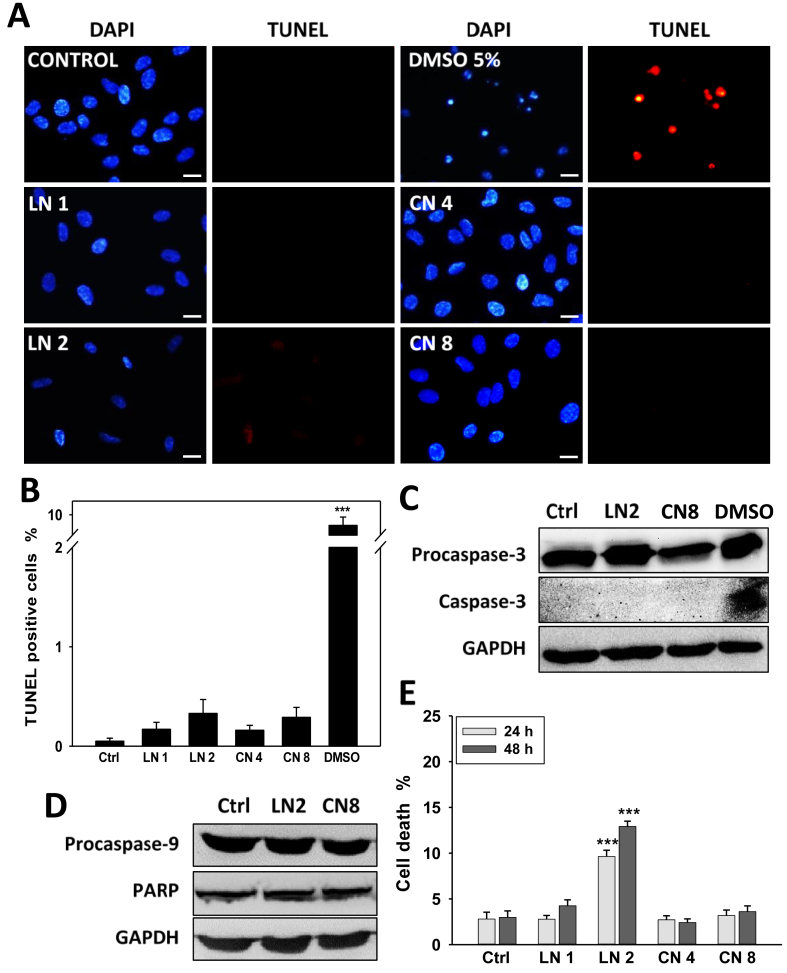 Figure 3