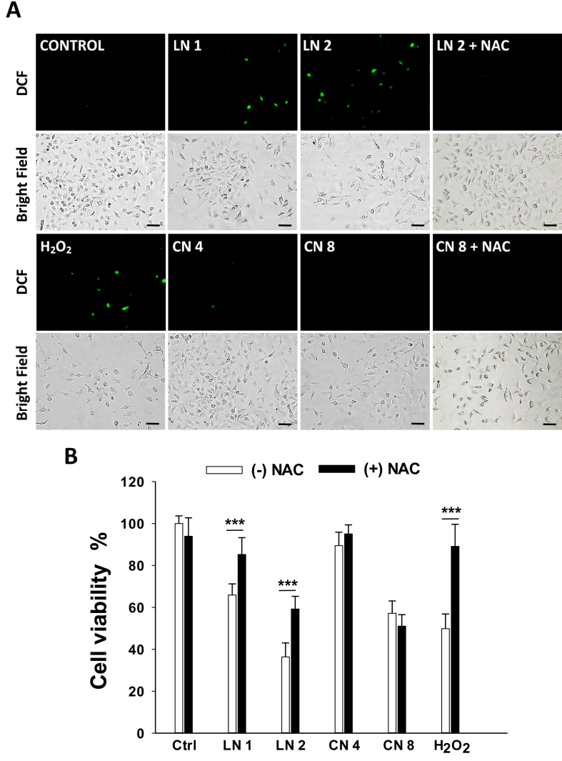 Figure 4