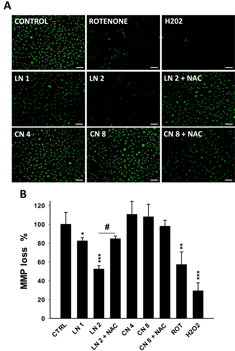 Figure 5