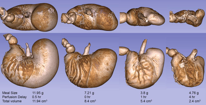 FIGURE 4