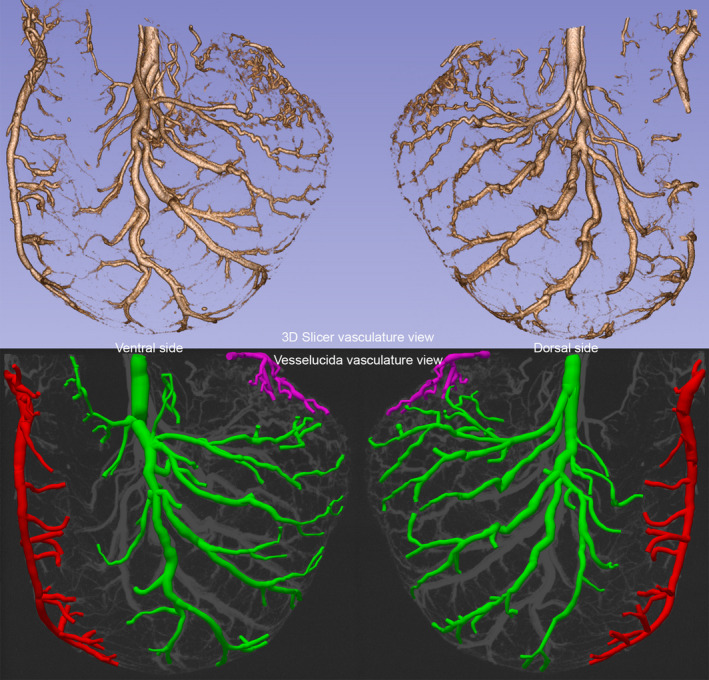 FIGURE 3