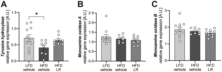 Figure 1