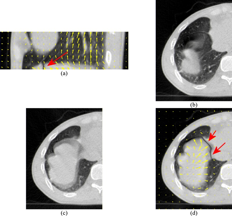 FIG. 2.