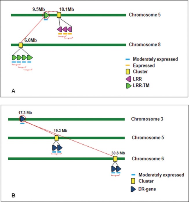 Fig 11