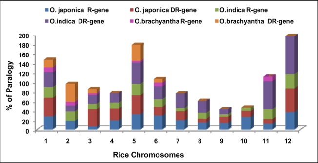 Fig 10