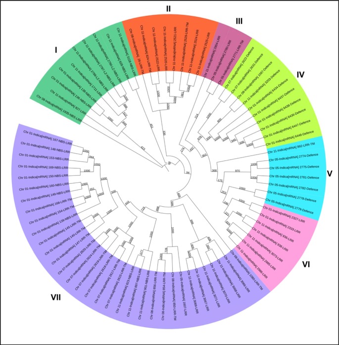 Fig 5