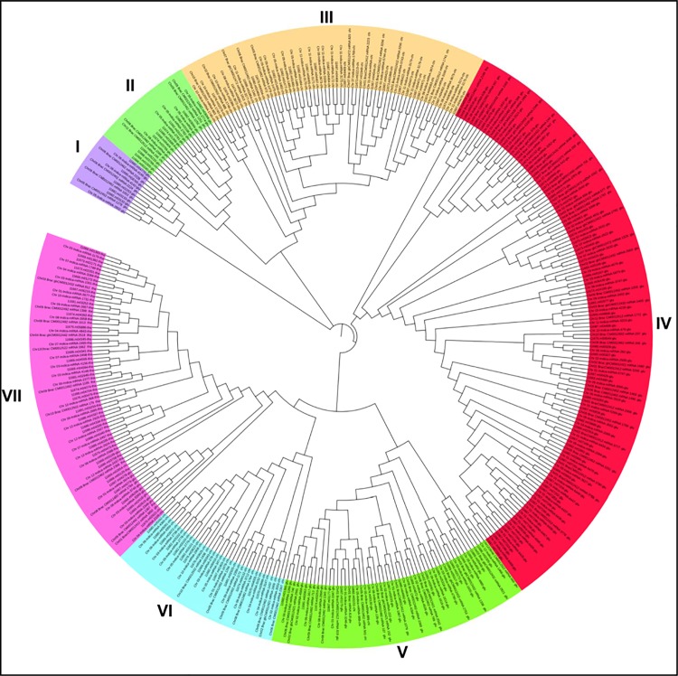 Fig 6