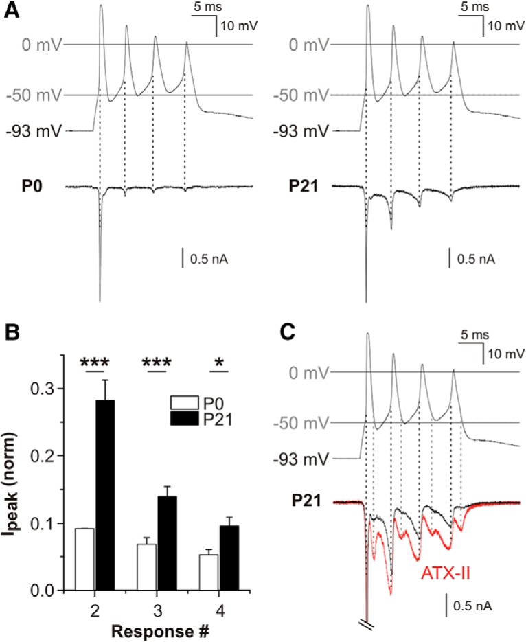 Figure 7.