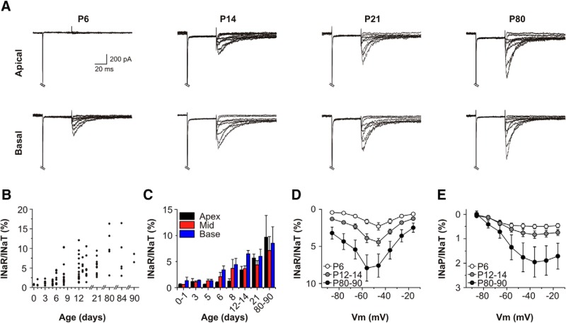 Figure 5.