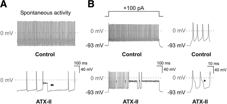 Figure 9.