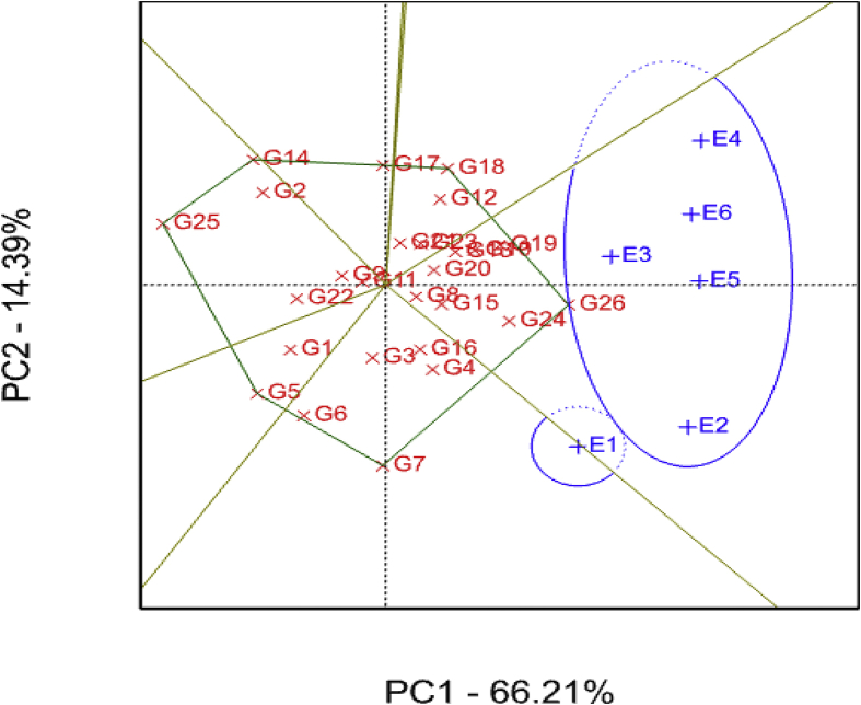 Fig. 5