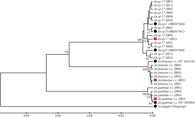 Figure 5