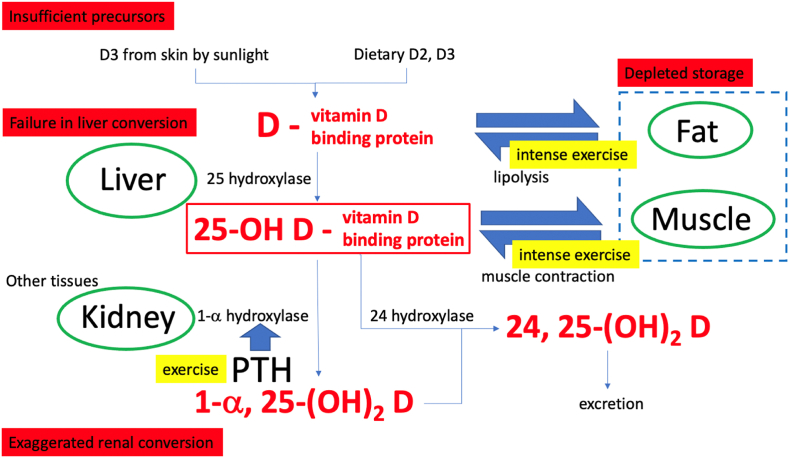 Fig. 1