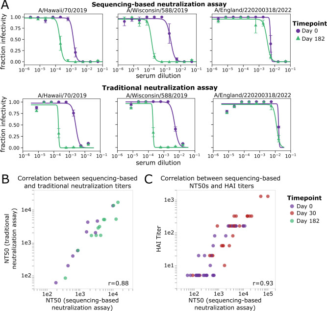 Neutralization curves compare sequencing-based and traditional assays across two-time points for different strains. Correlation plots depict strong relationships between neutralization titers, traditional neutralization titers, and HAI titers.